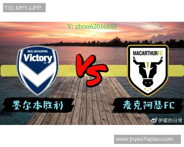 费内巴切迎战土兹拉士邦争夺胜利的关键对决分析与展望